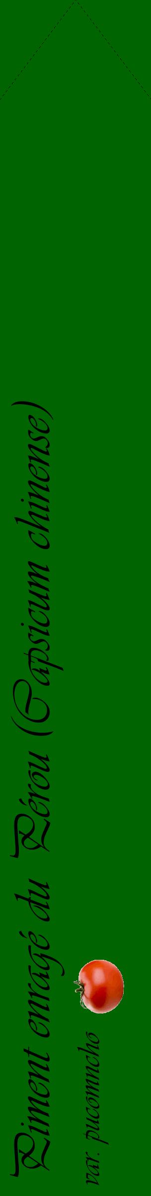 Étiquette de : Capsicum chinense var. pucomncho - format c - style noire8_simpleviv avec comestibilité simplifiée