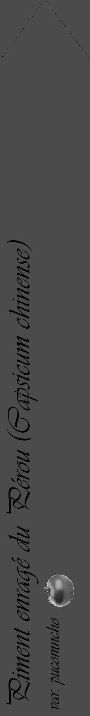Étiquette de : Capsicum chinense var. pucomncho - format c - style noire9_simple_simpleviv avec comestibilité simplifiée - position verticale