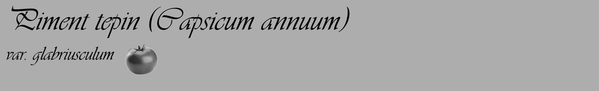 Étiquette de : Capsicum annuum var. glabriusculum - format c - style noire22_basique_basiqueviv avec comestibilité simplifiée