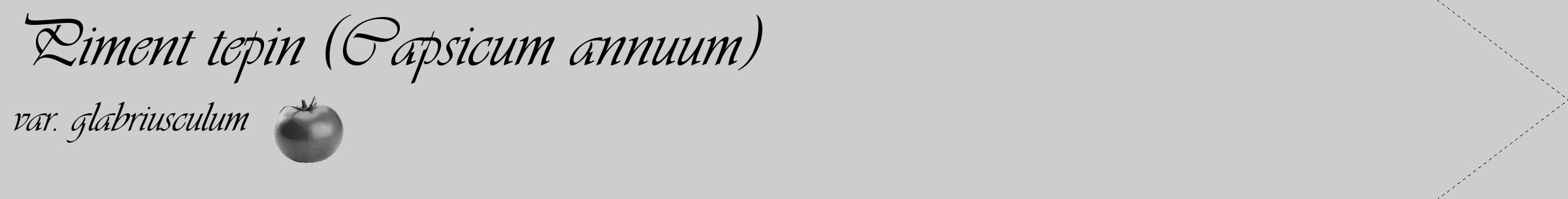 Étiquette de : Capsicum annuum var. glabriusculum - format c - style noire41_simple_simpleviv avec comestibilité simplifiée