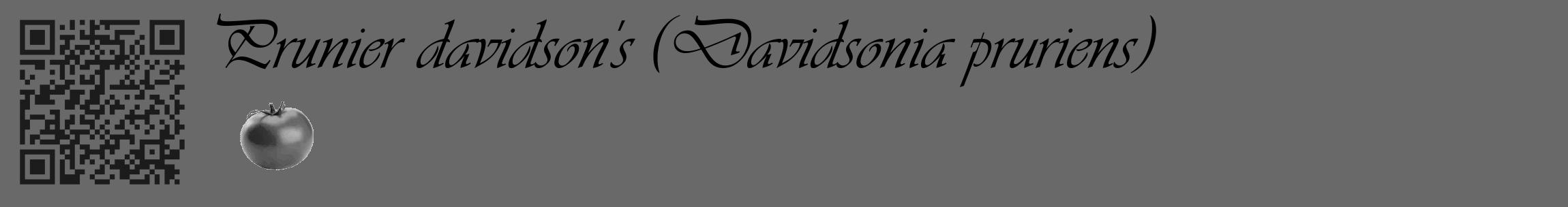 Étiquette de : Davidsonia pruriens - format c - style noire51_basique_basiqueviv avec qrcode et comestibilité simplifiée