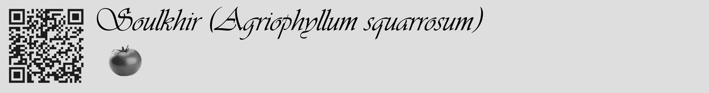 Étiquette de : Agriophyllum squarrosum - format c - style noire20_basique_basiqueviv avec qrcode et comestibilité simplifiée