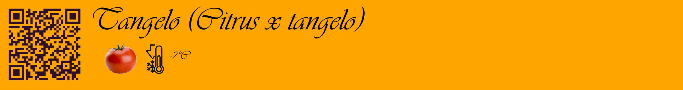 Étiquette de : Citrus x tangelo - format c - style noire22_basique_basiqueviv avec qrcode et comestibilité simplifiée