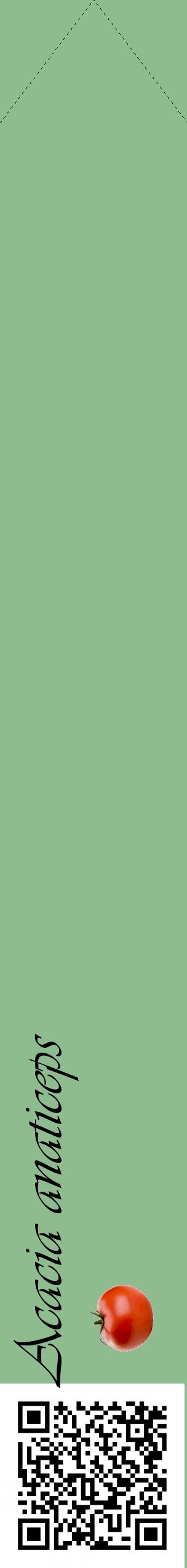 Étiquette de : Acacia anaticeps - format c - style noire13_simpleviv avec qrcode et comestibilité simplifiée