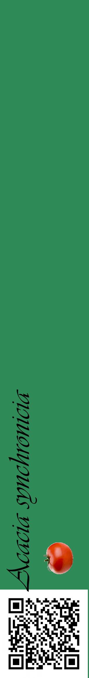 Étiquette de : Acacia synchronicia - format c - style noire11_basiqueviv avec qrcode et comestibilité simplifiée