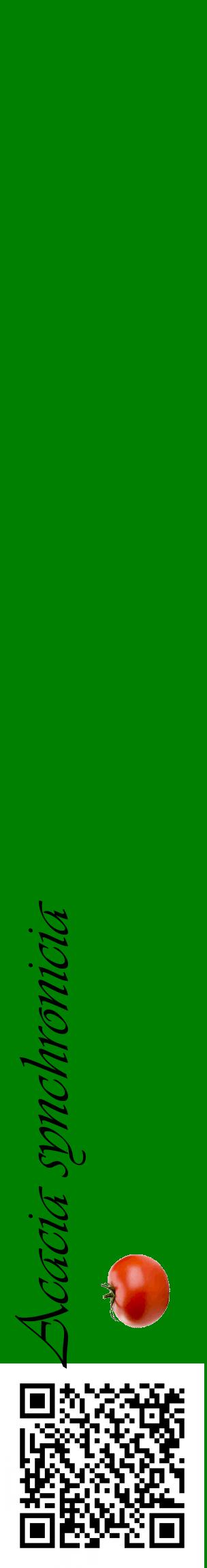 Étiquette de : Acacia synchronicia - format c - style noire9_basiqueviv avec qrcode et comestibilité simplifiée