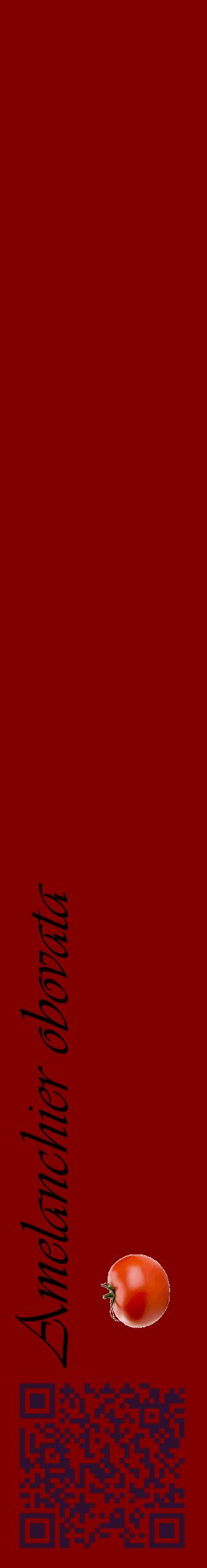 Étiquette de : Amelanchier obovata - format c - style noire29_basique_basiqueviv avec qrcode et comestibilité simplifiée - position verticale