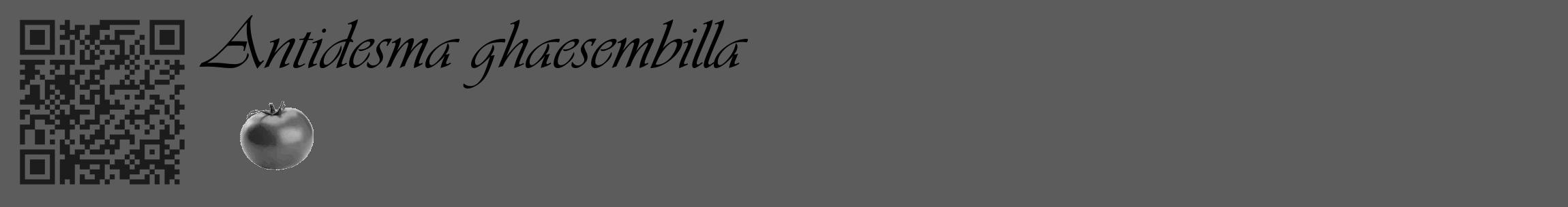 Étiquette de : Antidesma ghaesembilla - format c - style noire49_basique_basiqueviv avec qrcode et comestibilité simplifiée