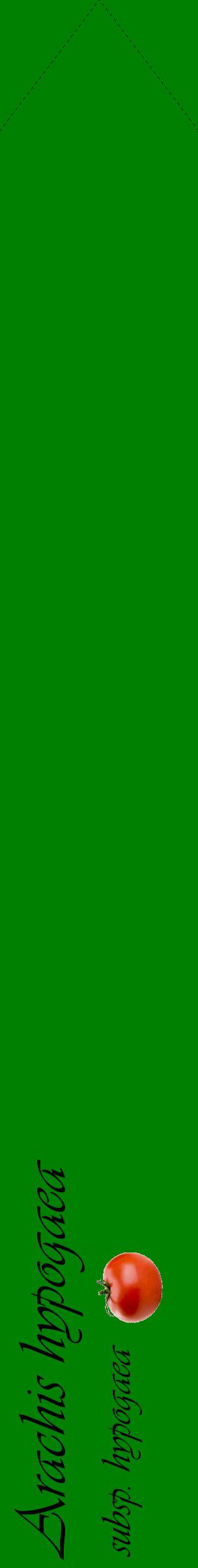 Étiquette de : Arachis hypogaea subsp. hypogaea - format c - style noire9_simpleviv avec comestibilité simplifiée