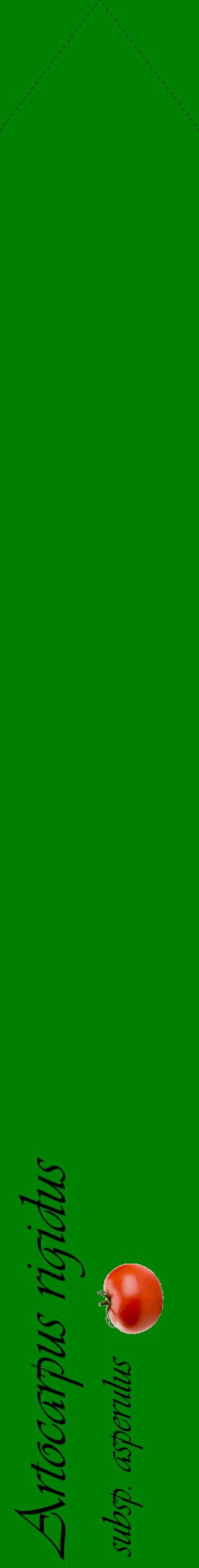 Étiquette de : Artocarpus rigidus subsp. asperulus - format c - style noire9_simpleviv avec comestibilité simplifiée