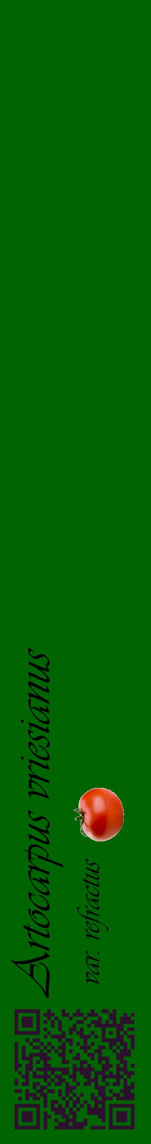 Étiquette de : Artocarpus vriesianus var. refractus - format c - style noire8_basiqueviv avec qrcode et comestibilité simplifiée