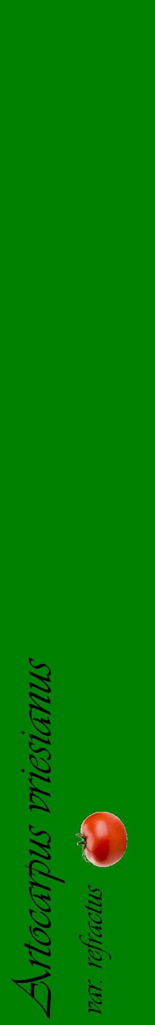 Étiquette de : Artocarpus vriesianus var. refractus - format c - style noire9_basiqueviv avec comestibilité simplifiée