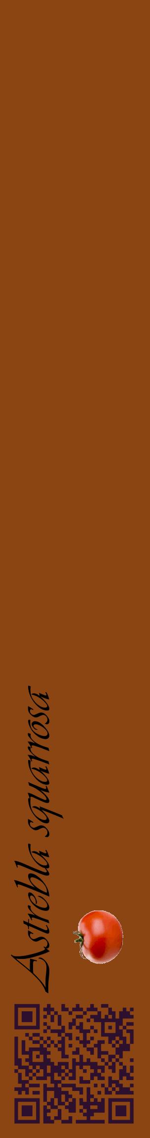 Étiquette de : Astrebla squarrosa - format c - style noire30_basiqueviv avec qrcode et comestibilité simplifiée
