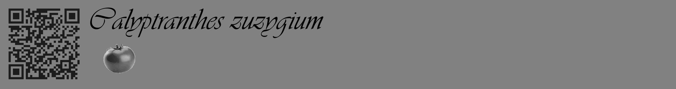 Étiquette de : Calyptranthes zuzygium - format c - style noire50_basique_basiqueviv avec qrcode et comestibilité simplifiée