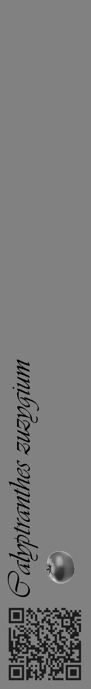 Étiquette de : Calyptranthes zuzygium - format c - style noire50_basique_basiqueviv avec qrcode et comestibilité simplifiée - position verticale