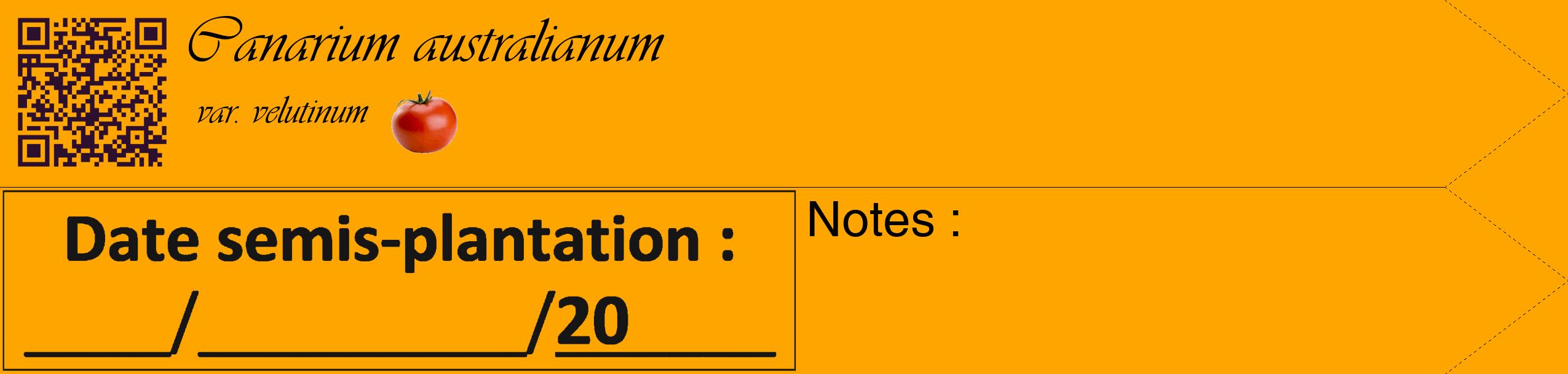 Étiquette de : Canarium australianum var. velutinum - format c - style noire22_simple_simpleviv avec qrcode et comestibilité simplifiée