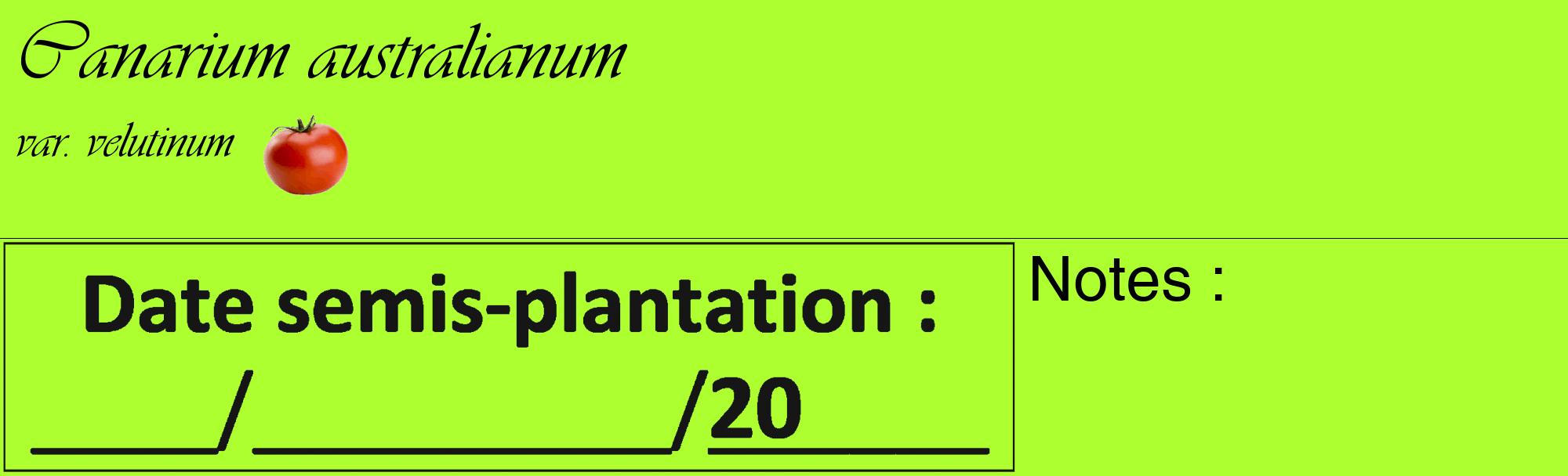 Étiquette de : Canarium australianum var. velutinum - format c - style noire17_basique_basiqueviv avec comestibilité simplifiée