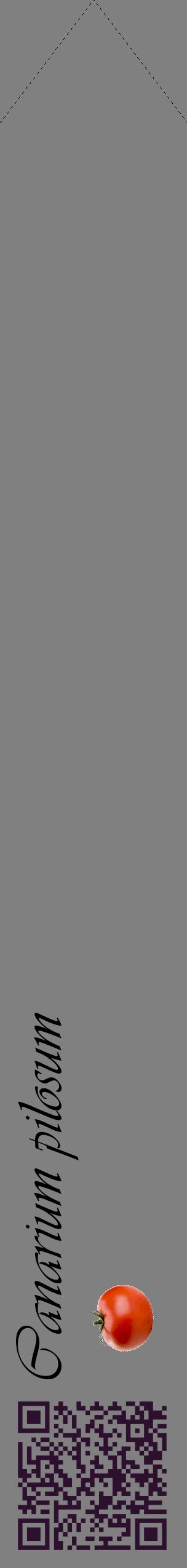 Étiquette de : Canarium pilosum - format c - style noire57_simpleviv avec qrcode et comestibilité simplifiée