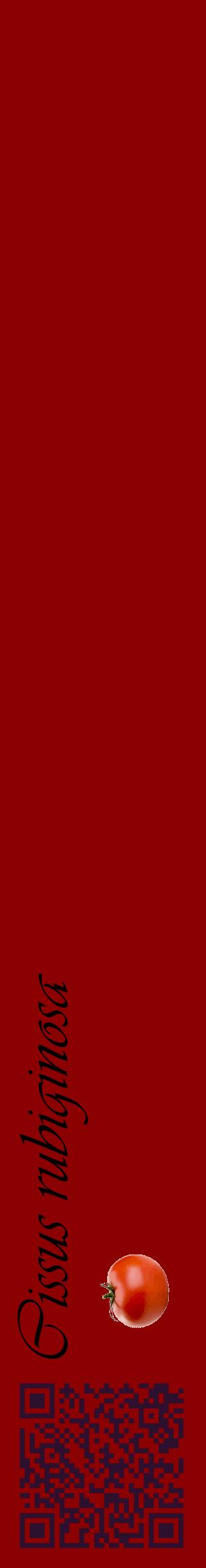 Étiquette de : Cissus rubiginosa - format c - style noire34_basiqueviv avec qrcode et comestibilité simplifiée