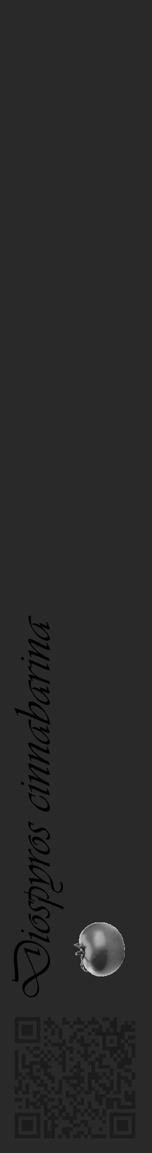 Étiquette de : Diospyros cinnabarina - format c - style noire34basique_basique_basiqueviv avec qrcode et comestibilité simplifiée - position verticale