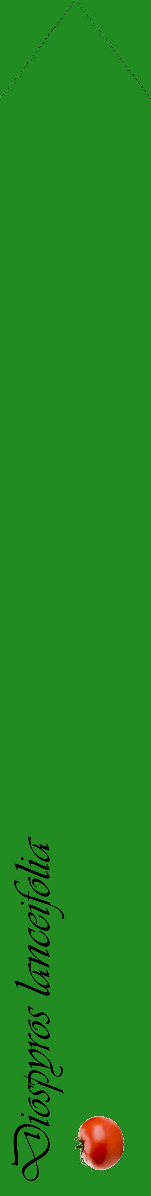 Étiquette de : Diospyros lanceifolia - format c - style noire10_simpleviv avec comestibilité simplifiée