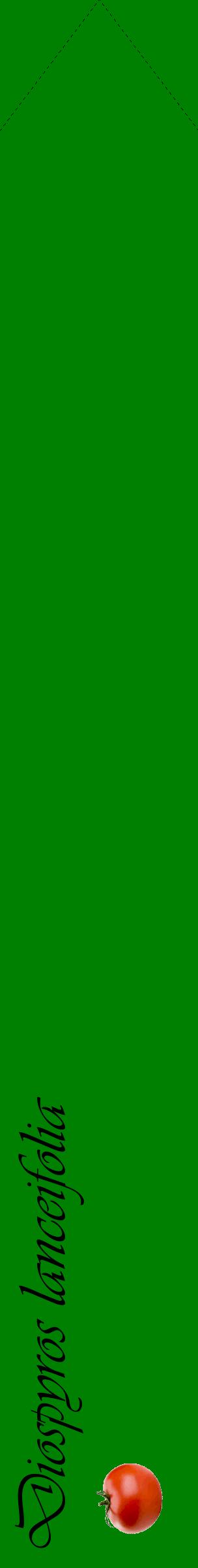 Étiquette de : Diospyros lanceifolia - format c - style noire9_simpleviv avec comestibilité simplifiée