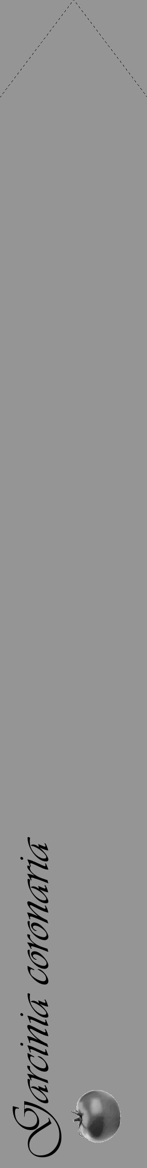 Étiquette de : Garcinia coronaria - format c - style noire16_simple_simpleviv avec comestibilité simplifiée - position verticale