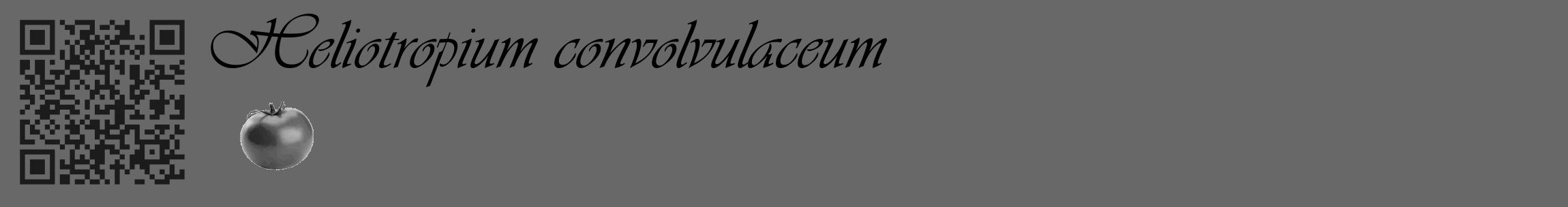 Étiquette de : Heliotropium convolvulaceum - format c - style noire43_basique_basiqueviv avec qrcode et comestibilité simplifiée
