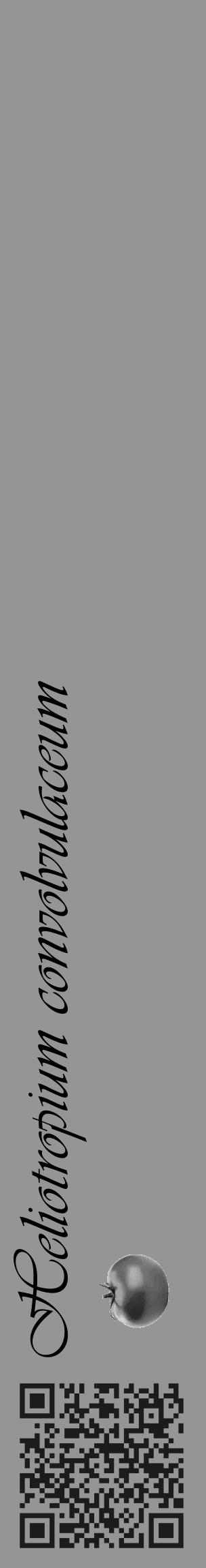 Étiquette de : Heliotropium convolvulaceum - format c - style noire16_basique_basiqueviv avec qrcode et comestibilité simplifiée - position verticale