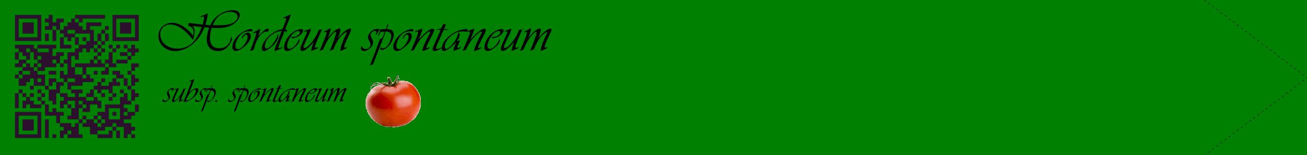 Étiquette de : Hordeum spontaneum subsp. spontaneum - format c - style noire9simple_basique_basiqueviv avec qrcode et comestibilité simplifiée