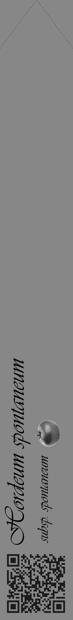 Étiquette de : Hordeum spontaneum subsp. spontaneum - format c - style noire12_simple_simpleviv avec qrcode et comestibilité simplifiée - position verticale