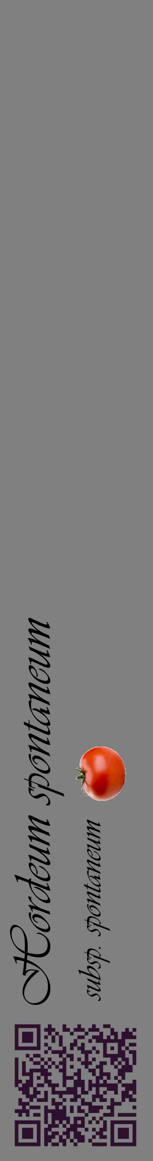 Étiquette de : Hordeum spontaneum subsp. spontaneum - format c - style noire57_basiqueviv avec qrcode et comestibilité simplifiée