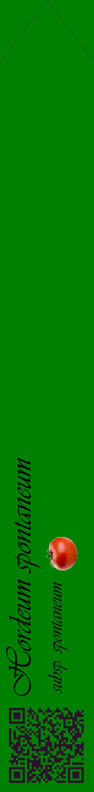 Étiquette de : Hordeum spontaneum subsp. spontaneum - format c - style noire9simple_basique_basiqueviv avec qrcode et comestibilité simplifiée - position verticale