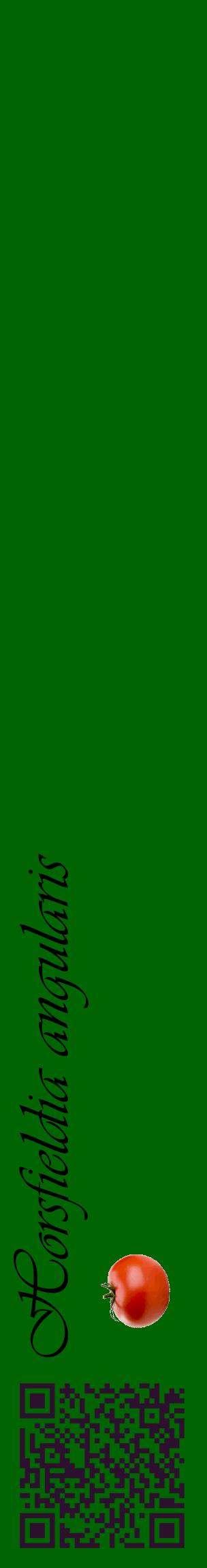 Étiquette de : Horsfieldia angularis - format c - style noire8_basiqueviv avec qrcode et comestibilité simplifiée