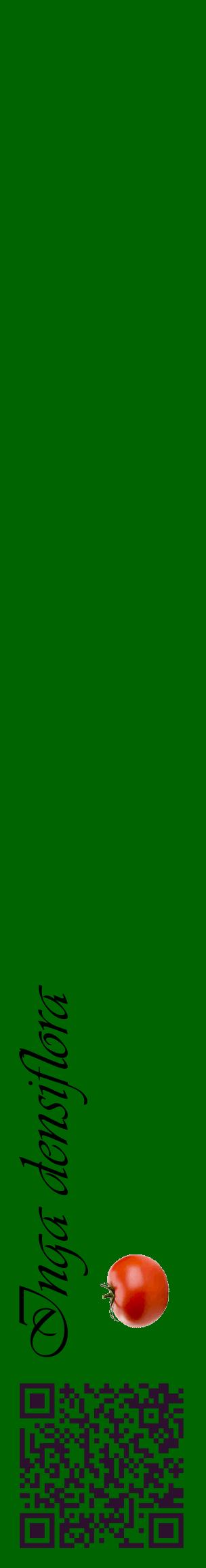Étiquette de : Inga densiflora - format c - style noire8_basiqueviv avec qrcode et comestibilité simplifiée