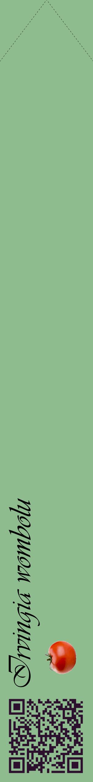 Étiquette de : Irvingia wombolu - format c - style noire13_simpleviv avec qrcode et comestibilité simplifiée