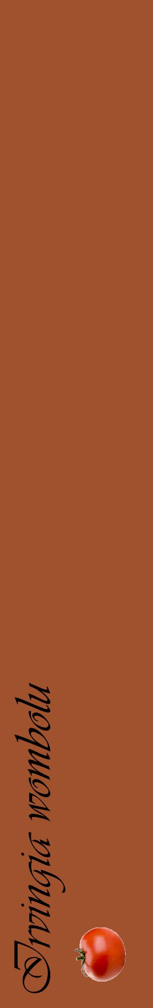Étiquette de : Irvingia wombolu - format c - style noire32_basiqueviv avec comestibilité simplifiée