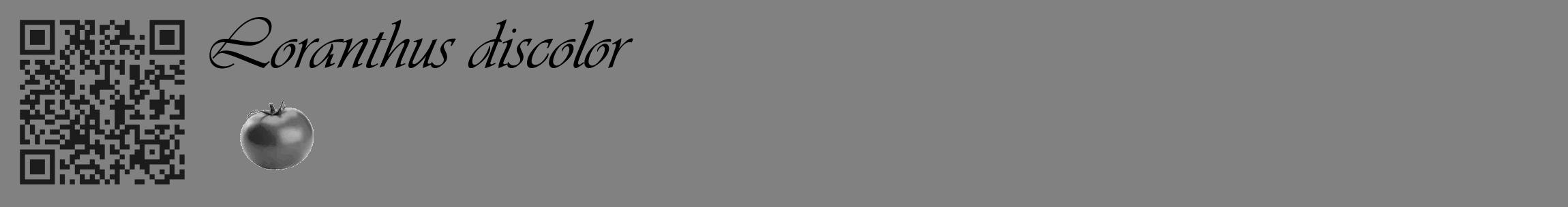 Étiquette de : Loranthus discolor - format c - style noire50_basique_basiqueviv avec qrcode et comestibilité simplifiée