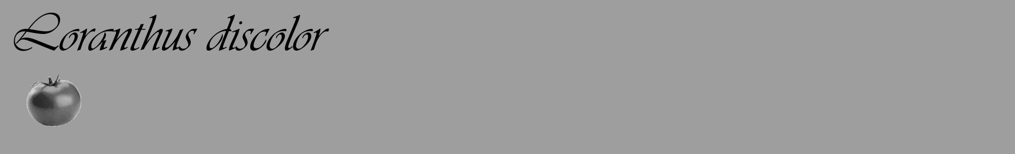 Étiquette de : Loranthus discolor - format c - style noire42_basique_basiqueviv avec comestibilité simplifiée
