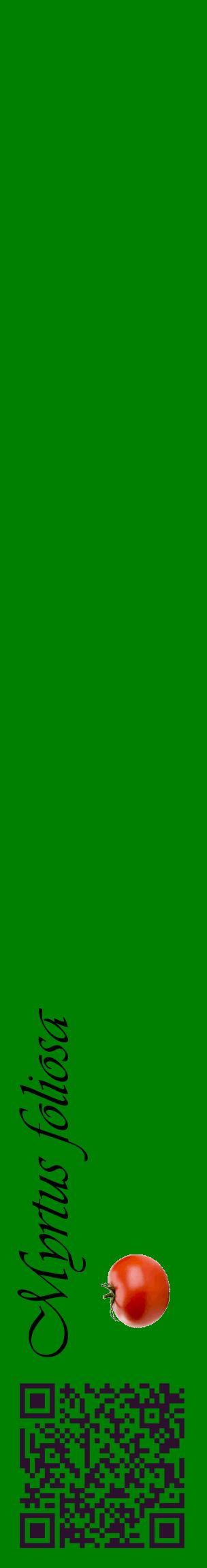 Étiquette de : Myrtus foliosa - format c - style noire9_basiqueviv avec qrcode et comestibilité simplifiée