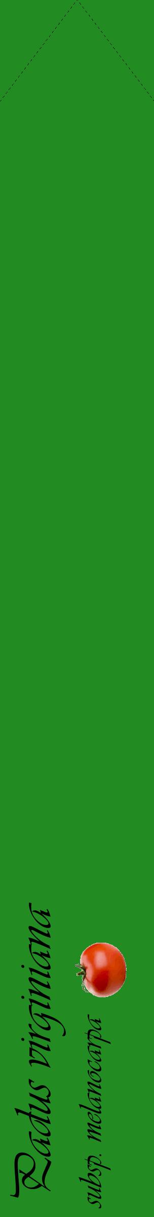 Étiquette de : Padus virginiana subsp. melanocarpa - format c - style noire10_simpleviv avec comestibilité simplifiée