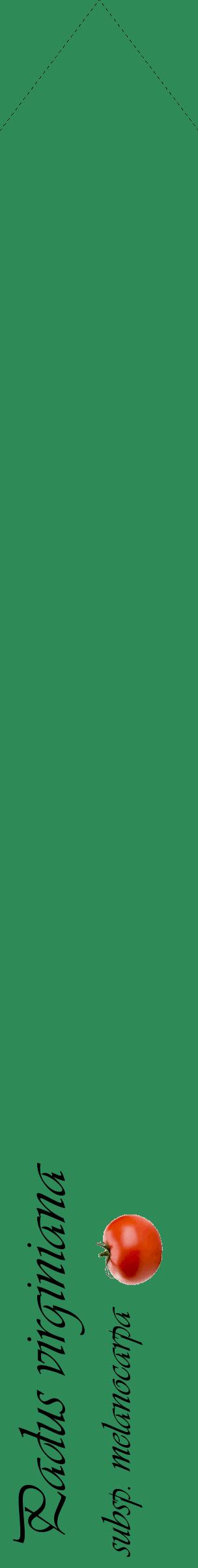 Étiquette de : Padus virginiana subsp. melanocarpa - format c - style noire11_simpleviv avec comestibilité simplifiée