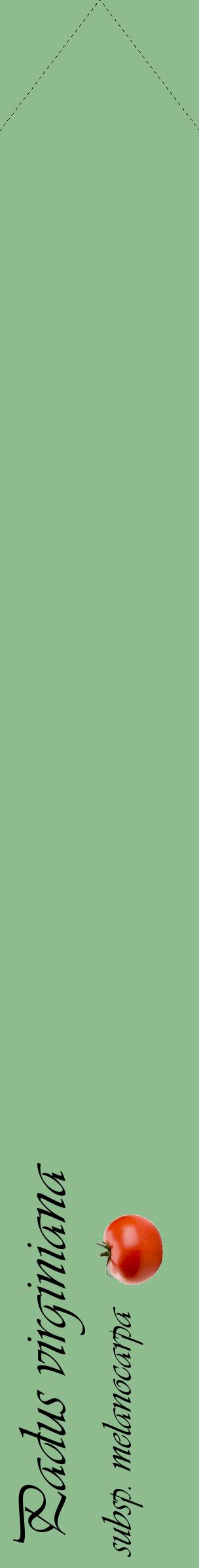 Étiquette de : Padus virginiana subsp. melanocarpa - format c - style noire13_simpleviv avec comestibilité simplifiée