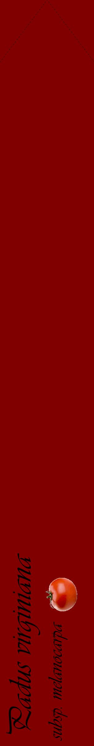Étiquette de : Padus virginiana subsp. melanocarpa - format c - style noire29_simpleviv avec comestibilité simplifiée