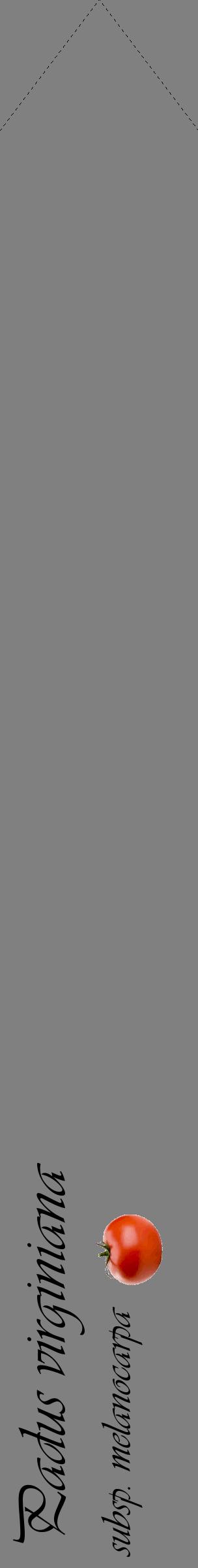 Étiquette de : Padus virginiana subsp. melanocarpa - format c - style noire57_simpleviv avec comestibilité simplifiée