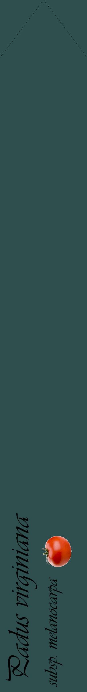 Étiquette de : Padus virginiana subsp. melanocarpa - format c - style noire58_simpleviv avec comestibilité simplifiée