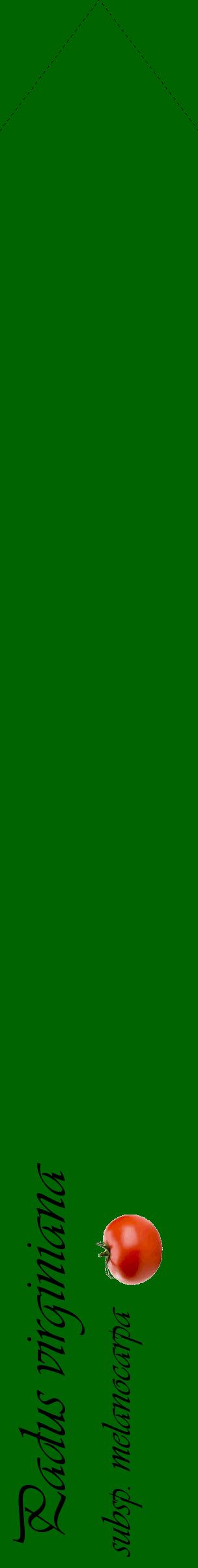 Étiquette de : Padus virginiana subsp. melanocarpa - format c - style noire8_simpleviv avec comestibilité simplifiée