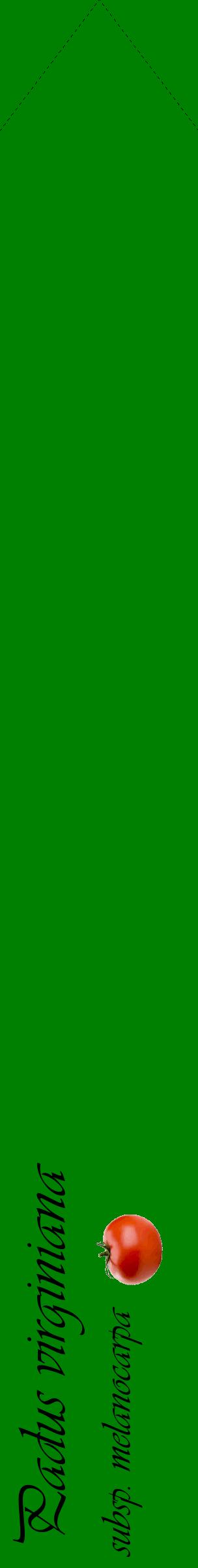 Étiquette de : Padus virginiana subsp. melanocarpa - format c - style noire9_simpleviv avec comestibilité simplifiée