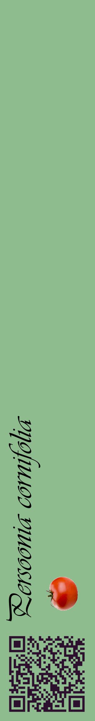 Étiquette de : Persoonia cornifolia - format c - style noire13_basiqueviv avec qrcode et comestibilité simplifiée