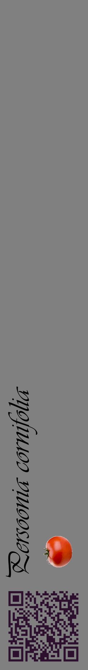 Étiquette de : Persoonia cornifolia - format c - style noire57_basiqueviv avec qrcode et comestibilité simplifiée